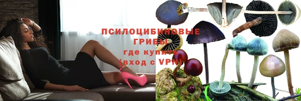 дживик Липки