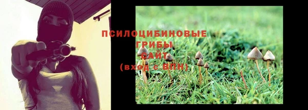 ПСИЛОЦИБИНОВЫЕ ГРИБЫ Горняк