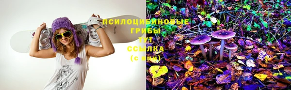 apvp Лиски