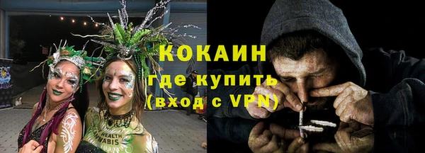 дживик Липки