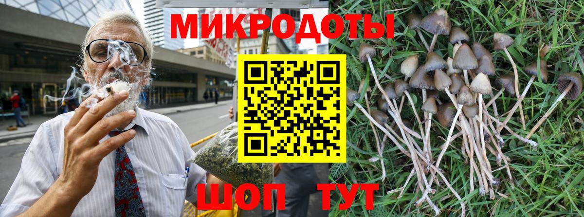 Галлюциногенные грибы мухоморы Каменск-Уральский