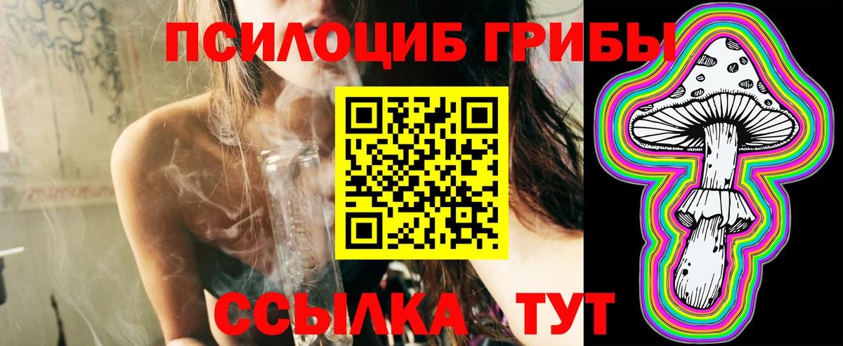 Каменск-Уральский  цены   Вход с VPN  Псилоцибиновые грибы GOLDEN TEACHER 
